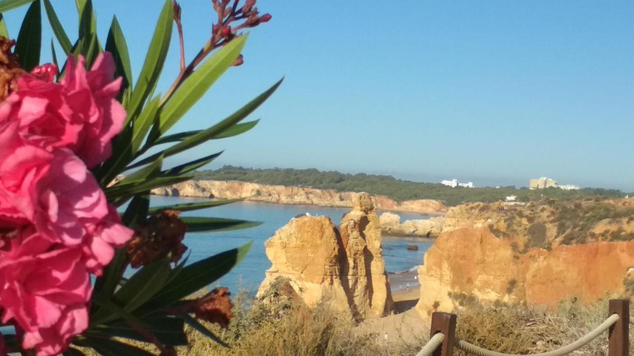 אלבור Albur Village B - Camomile מראה חיצוני תמונה