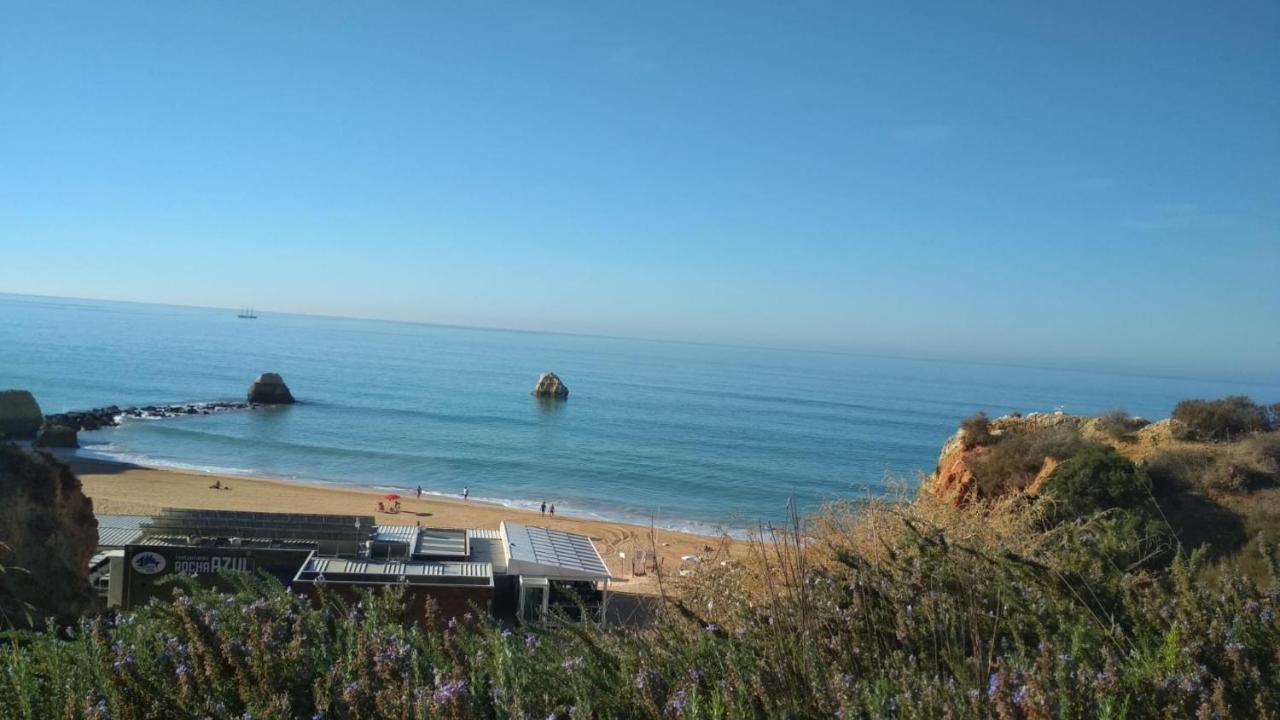 אלבור Albur Village B - Camomile מראה חיצוני תמונה