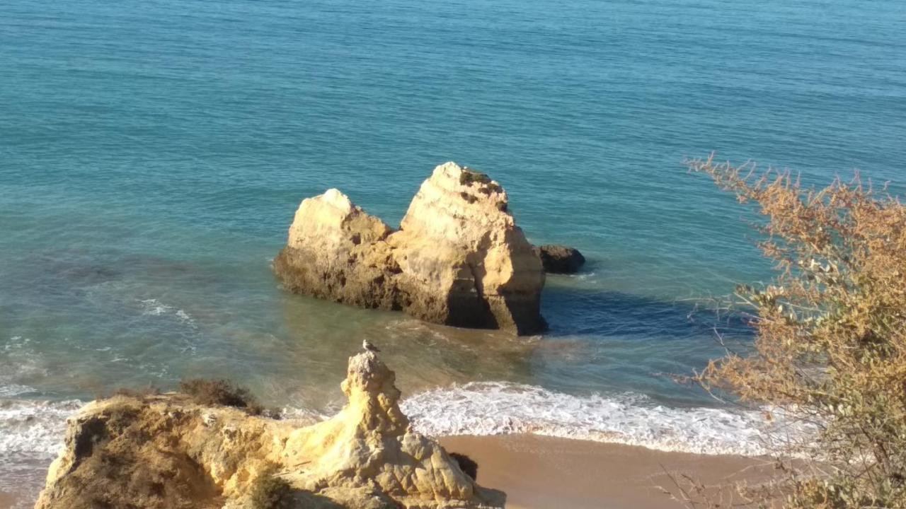 אלבור Albur Village B - Camomile מראה חיצוני תמונה